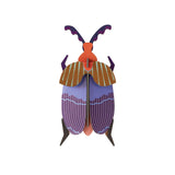 Studio roof eco-friendly cardboard queen beetle slotting model on a white background