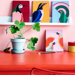 Studio Roof eco-friendly Paradise Bird Notebooks lined up on a book shelf above a red work desk