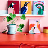 Studio Roof eco-friendly Paradise Bird Notebooks lined up on a book shelf above a red work desk