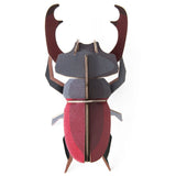 Studio Roof Stag Beetle