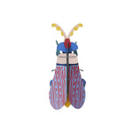Studio Roof Striped Wing Beetle pictured on a plain background