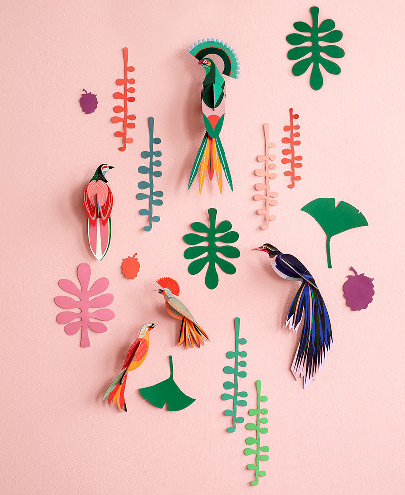 Studio Roof Wall of Curiosities - Bird Observer – Babipur