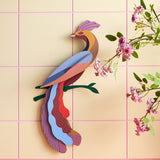 Tinjil and Maya birds of Paradise on a green tilled background