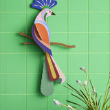 Tinjil and Maya bird of Paradise together on a light green tilled background