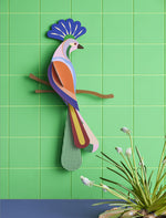 Tinjil and Maya bird of Paradise together on a light green tilled background
