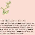 Infographic showing the main benefits of Tea Tree essential oil.