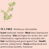 Infographic showing the main benefits of Tea Tree essential oil.