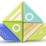 Tegu Spaceship Travel Pal