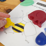 Close up of a hand colouring in a colouring book with the Crayon Bug Babipur garden crayons