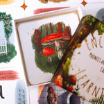 The Phive Enchanting Learning Phonics & Storytelling Cards - Set 1 card laid out with the box on top