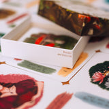 An open box of The Phive Enchanting Learning Phonics & Storytelling Cards - Set 1 card with card laid out underneath