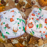 Tickle Tots Hybrid Nappy - Pumpkin