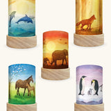 Set of 5 Toverlux Lantern Shades by Vogel Geluk, transparency artworks of fauna including 5 different animals on each. Dolphins, Fox in a forest, elephants walking in a sunset, Horses under a blossom tree and Penguins in snow. 