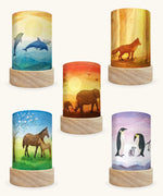 Set of 5 Toverlux Lantern Shades by Vogel Geluk, transparency artworks of fauna including 5 different animals on each. Dolphins, Fox in a forest, elephants walking in a sunset, Horses under a blossom tree and Penguins in snow. 