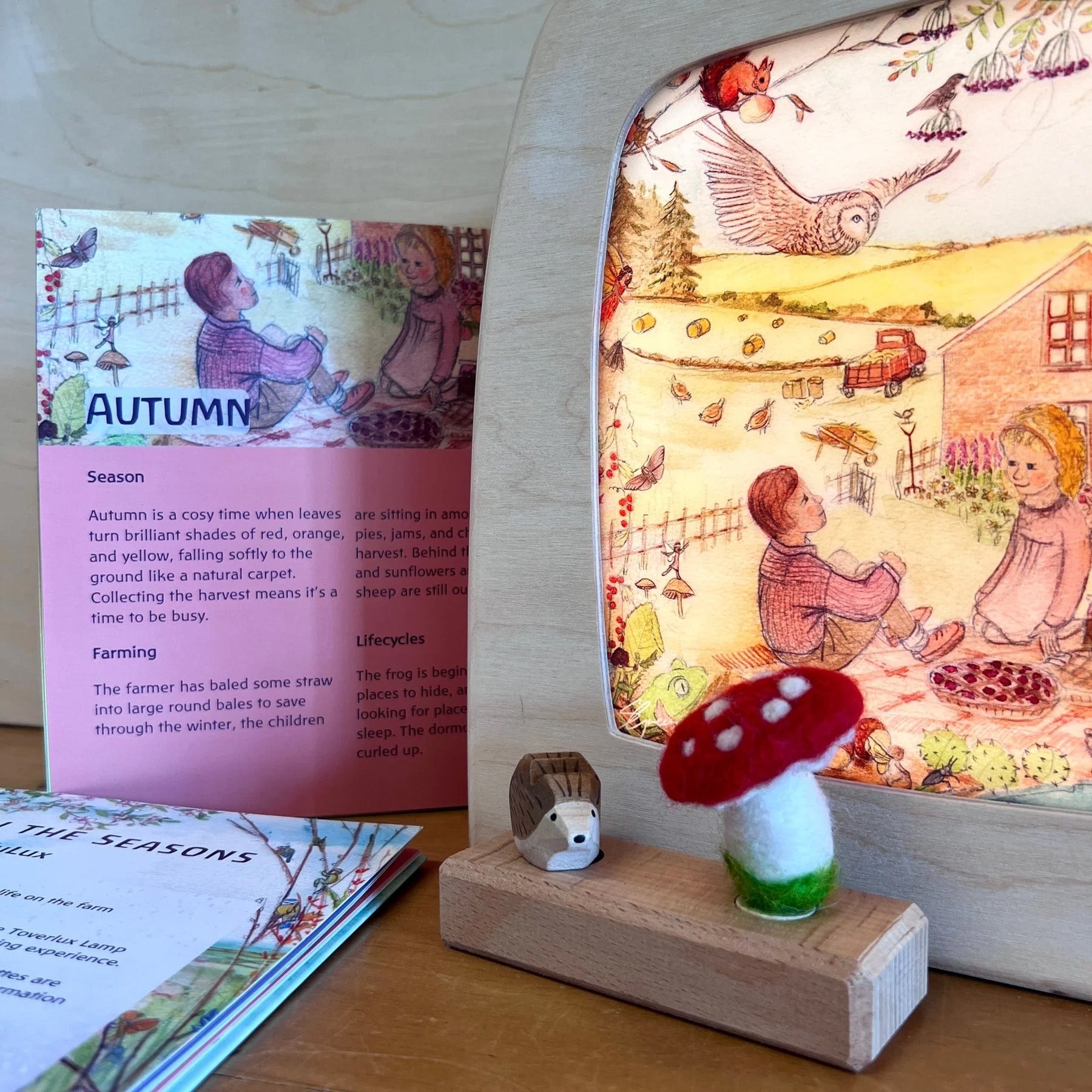 The Toverlux Edulux Autumn silhouette with the accompanying educational booklet and Waldorf figures