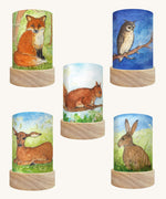 Toverlux Eentje Van Margo artwork lantern shades in a pack of 5. Fox, owl, squirrel, foe and hare.