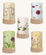 Toverlux Beth Kendall pressed garden blooms artwork lantern shades in a pack of 5.Each shade has a light background colour.