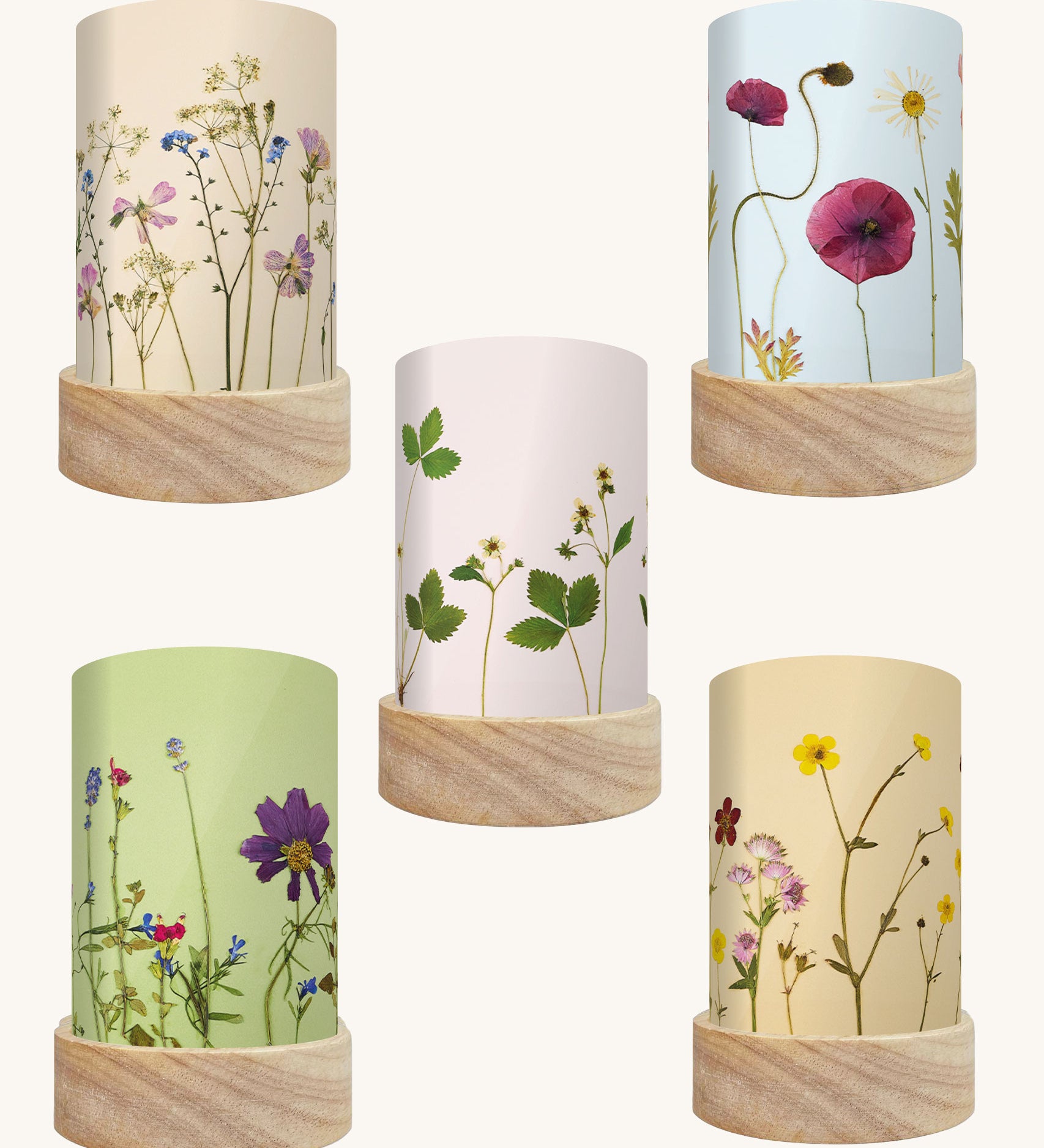Toverlux Beth Kendall pressed garden blooms artwork lantern shades in a pack of 5.Each shade has a light background colour.