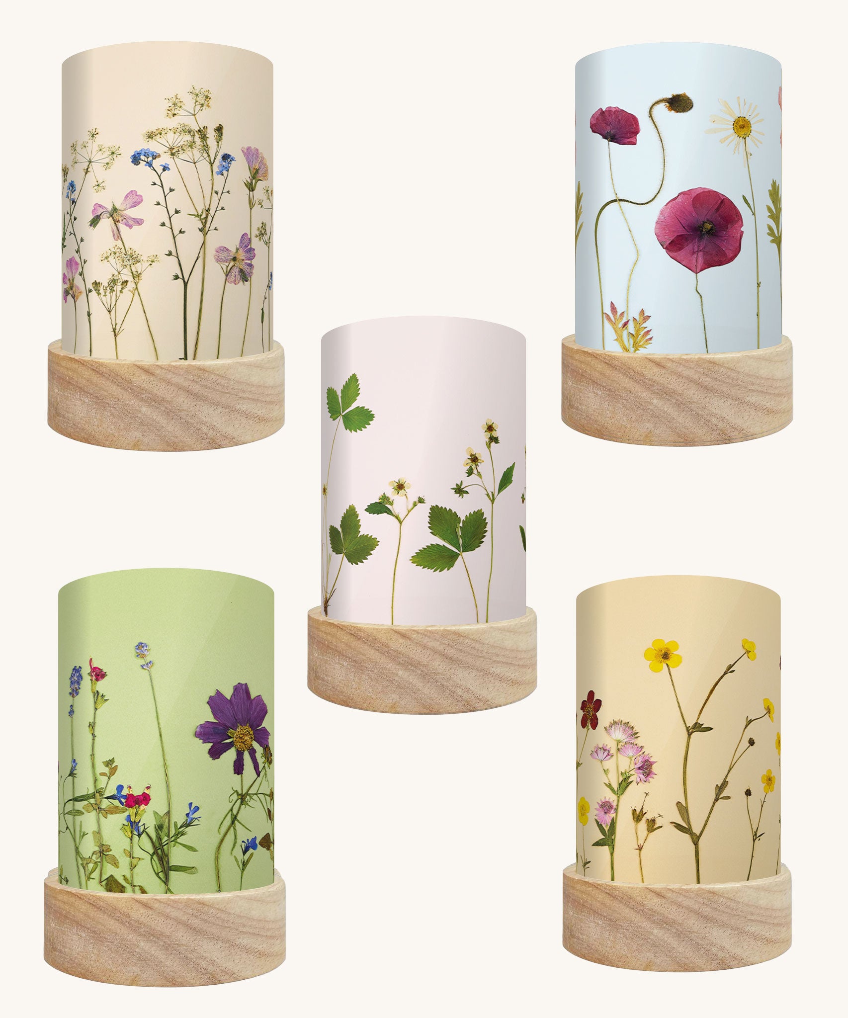 Toverlux Beth Kendall pressed garden blooms artwork lantern shades in a pack of 5.Each shade has a light background colour.