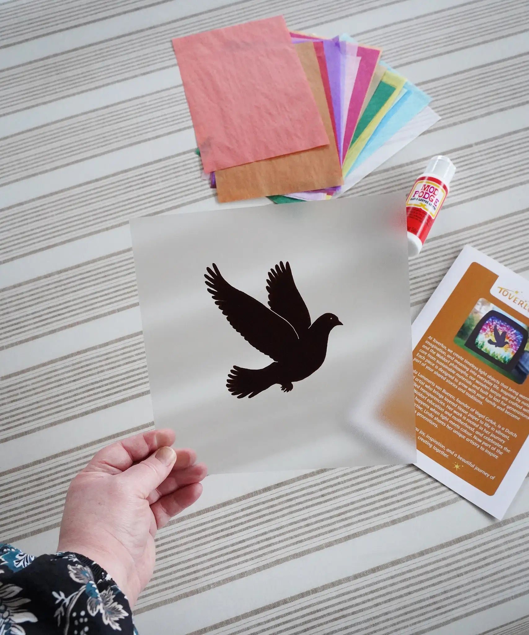 Close up of the recycled PET silhouette panel with dove design by Vogel Geluk from the Toverlux Spring dove DIY silhouette transparency craft kit  being held in an adult's hand.