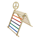 Triclimb single rainbow childrens climbing frame with arben top deck and steering wheel accessories on a white background