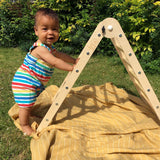 Triclimb Natural Climbing Triangle