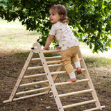 Triclimb Natural Climbing Triangle