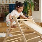 Triclimb Natural Climbing Triangle