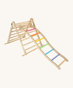 Triclimb wooden wibli ladder with pastel inspired coloured rungs hooked on a rung on the Triclimb pikler wooden climbing frame