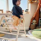 Triclimb Natural Climbing Triangle