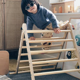 Triclimb Natural Climbing Triangle