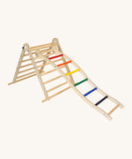 Triclimb wooden wibli ladder with rainbow inspired coloured rungs hooked on a rung on the Triclimb pikler wooden climbing frame