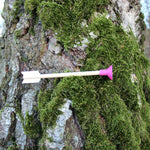 A crossbow safety arrow pictured on a tree