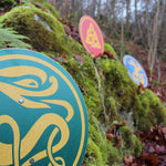 Vah Celtic Sigar Wooden Shield pictured outdoors with 2 other Celtic shields in the background