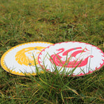 Vah Leopold Lion & viking snorre Mini Wooden Shields pictured outdoors