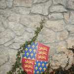 Vah Edward Wooden Shield pictured outdoors leaning against a stone wall that has ivy growing on it