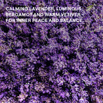 Lavender flowers with text that reads: "Calming lavender, luminous bergamot and warm vetiver for inner peace and balance"