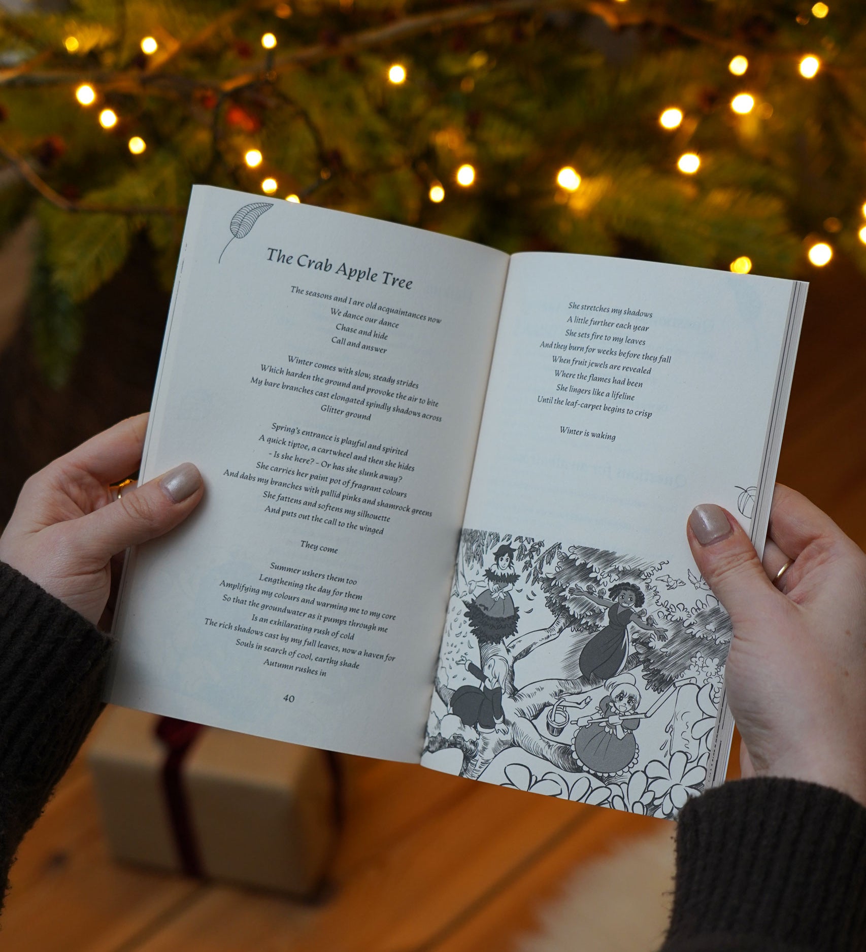 A person holding open the Where The Forest Once Stood - Children's Poetry Anthology by Julie Hare book open. This book is part of a range of children's books available at Babipur. 