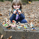 chaffinch