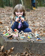 chaffinch