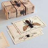 A close up of the cards and blocks that come in the Wooden Story Species of Bees Story Blocks set.