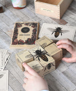A close up of a child's hands placing the blocks from the Wooden Story Species of Bees block set together, the corresponding card can be seen in the background. 