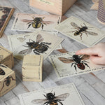 The cards from the Wooden Story Species of Bees set seen scattered on a wooden surface. A child's finger is seen pointing at one of the bee images on the card. 