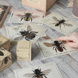 The cards from the Wooden Story Species of Bees set seen scattered on a wooden surface. A child's finger is seen pointing at one of the bee images on the card. 