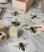 The cards from the Wooden Story Species of Bees set seen scattered on a wooden surface. A child's finger is seen pointing at one of the bee images on the card. 