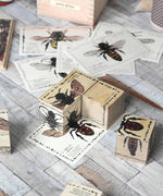 Wooden Story Species of Bees Puzzle Blocks Set shown in play. Three of the blocks have been placed on the corresponding bee card. The wooden storage box and other bee cards can be seen in the background. 