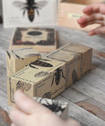 A close up of some of the blocks from the Wooden Story Species of Bees Puzzle Blocks Set. The illustrations of the bees are on all sides of the blocks, a child's hands can be seen on the sides.