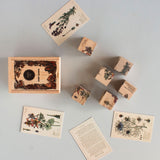 A flat lay of the pieces included in the Wooden Story Melliferous Plants Story Blocks. 