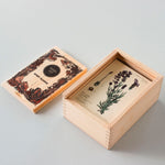 The Wooden Story Melliferous Plants Story Blocks set shown with the contests inside the wooden box without the lid. 