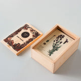 The Wooden Story Melliferous Plants Story Blocks set shown with the contests inside the wooden box without the lid. 